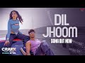 Maine Tujhe Dekha Haste Hue Galo Mein Ali Zafar New Version 2024