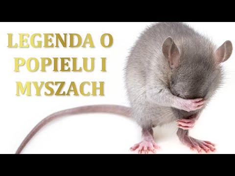 Legenda o Popielu i myszach. Legendy polskie. O Popielu, którego myszy zjadły.
