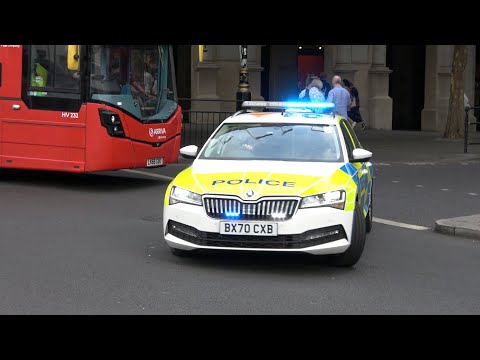 Met police dogs responding!