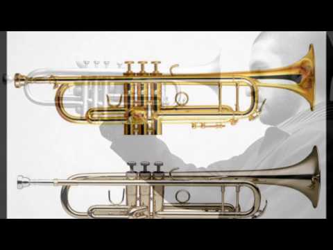 Trompet Hakkında - Balkan Beatz Orkestar