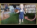 LUCiUS KAN OFFiCiEEL LOPEN EN ZET EERSTE STAPJES OP BEELD! ? | Bellinga Vlog #2556