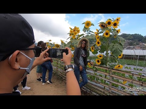 EP572-Part2 - Harabas in Baguio Day 2 | Meet and Greet