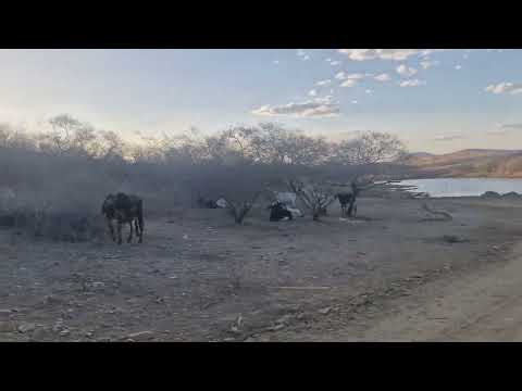 VAMOS VISITAR O AÇUDE DO CAJUEIRO EM UMARI CE 