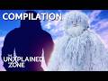 5 CHILLING Bigfoot Encounters The Proof Is Out There