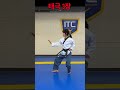 Taegeuk3 Taegeuk Sam Jang Poomsae Taekwondo Shorts
