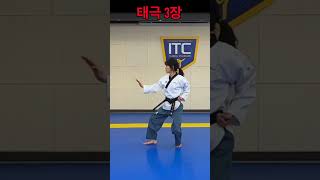 Taegeuk3 | Taegeuk Sam Jang | Poomsae | Taekwondo #shorts