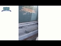 Reisflex PU40 - Selante Adesivo Híbrido -  PU40 - REIS E REIS