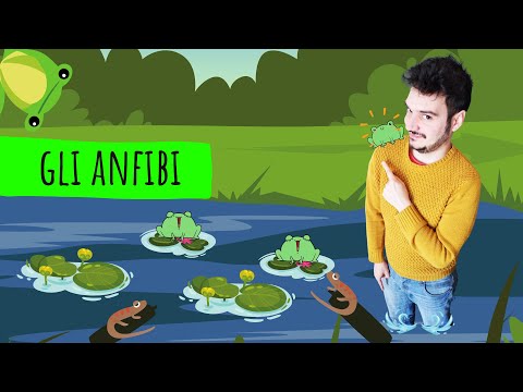 VERTEBRATI #2 - GLI ANFIBI - Le scienze spiegate FACILI