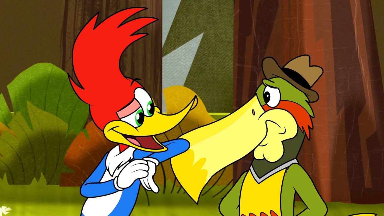 El Pajaro Loco Episodio Completo | Los Locos de la Naturaleza | Dibujos Animados | Caricaturas