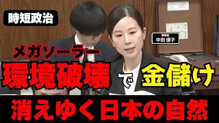 【参政党】環境破壊で金儲け、消えゆく日本の自然【時短政治】