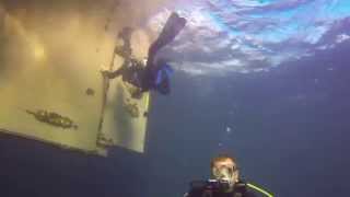 preview picture of video 'Busselton Jetty dive'
