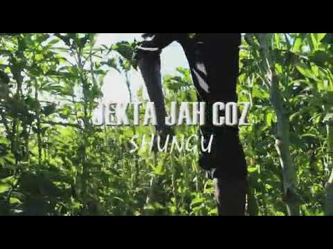 Jecta....Triple pace