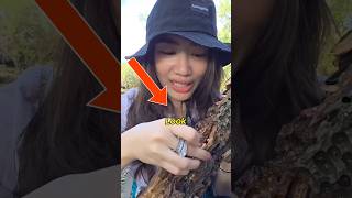 Download lagu She’s Eating a WOOD WORM?! Wait Till You Hear Its Story 😱#commentary #shorts mp3 Download lagu She’s Eating a WOOD WORM?! Wait Till You Hear Its Story 😱#commentary #shorts mp3
