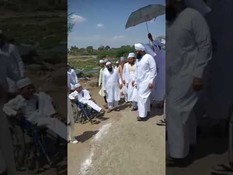 Sayyed Aminul Qadri Sahab 🥰 MashaAllah 💖💖💖 #shorts