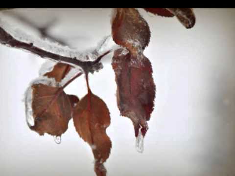 Relax to the Bible - Psalm 59