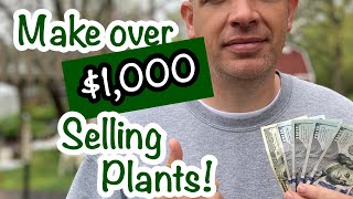 I made over $1500 in 4 hours selling plants from my home driveway!! Here
