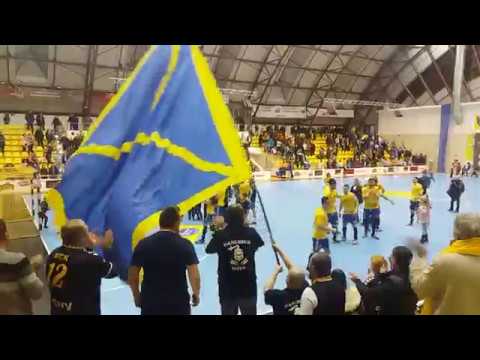 AHC Dunarea Calarasi-HC Dobrogea Sud Constanta 35-29 (18-7)