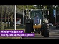 De eikenprocessierups komt eraan, maar er is goede hoop op minder jeuk
