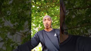 Download lagu gelas retak. mp3 Download lagu gelas retak. mp3
