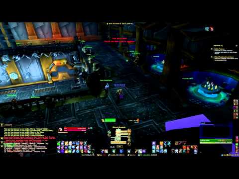Brawler's Guild Progression with Cinnamohn - Rank 3