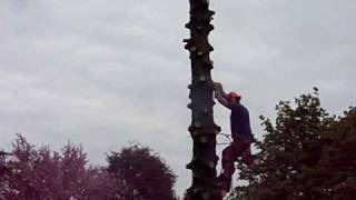 preview picture of video 'Thomas Tree & Stump Removal - video 2'