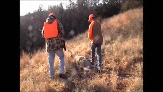 preview picture of video 'South Dakota Deer Hunt 2011'