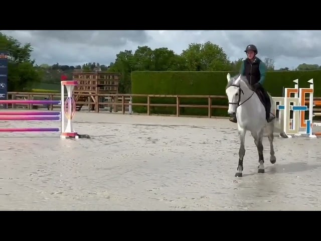 &Agrave; vendre : Jument de 10 ans 