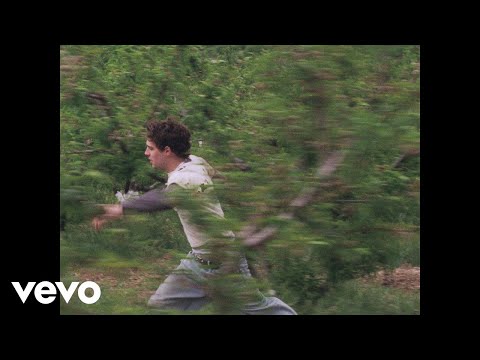 Royel Otis - more to lose (visualizer)