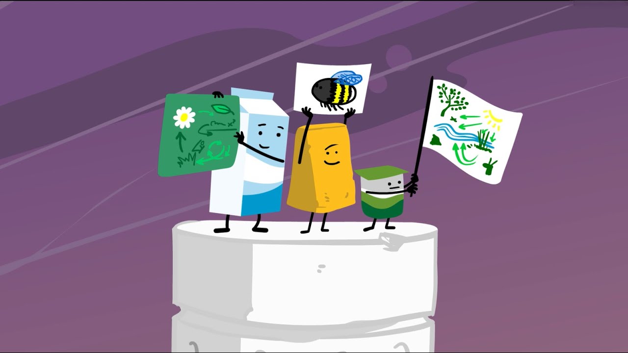 Measuring Sustainability