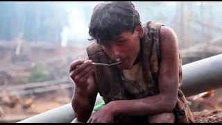 Amazon Gold - San Francisco Green Film Festival