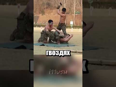 Армия точно готова