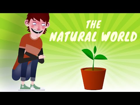 The Natural World 🌍 Exploring Nature's Wonders in English