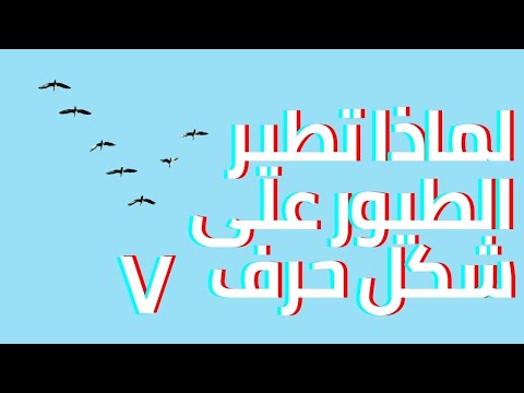 , title : 'لماذا يطير الأوز البرى ومعظم الطيور فى مجموعات على شكل حرف V'