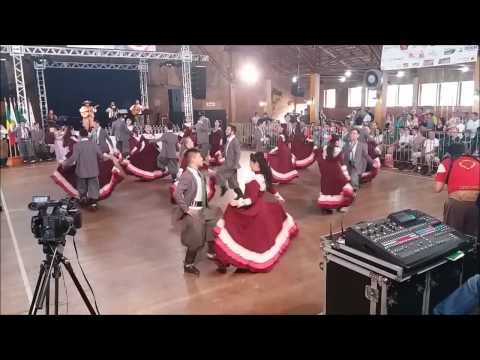 Rodeio de Erechim 2017   Osório Porto   Tatu Com Volta no Meio