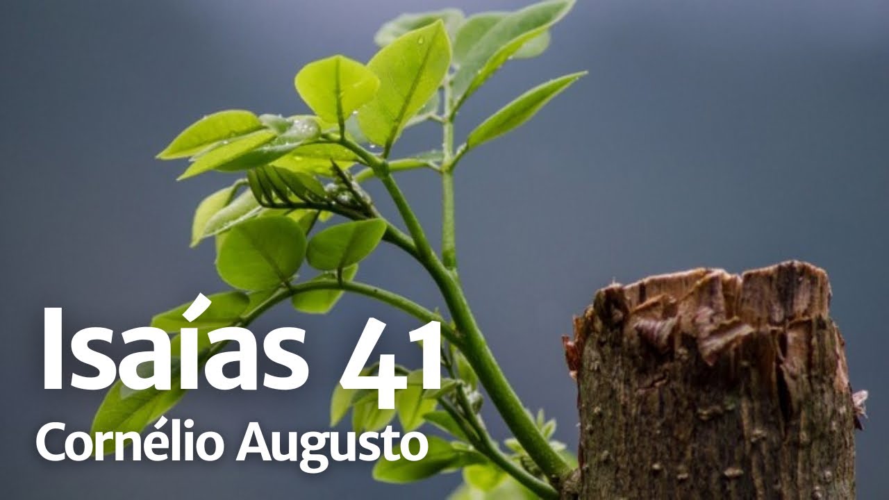 Bíblia Falada | Isaías 41