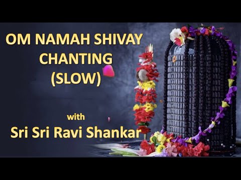 OM NAMAH SHIVAY ( SLOW) CHANTING by GURUDEV SRI SRI RAVISHANKAR during Mahashivratri Celebrations のサムネイル