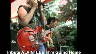 Alvin Lee - Tribute - i'm going home