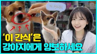 99%가 모르는, 강아지가 먹으면 약보다 좋은 사람 음식 7가지! (급여량, 효과, 부작용까지 다 알려드림)