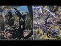 FOBBVCAM Eagles 🦅SANDY FELL FROM NEST🍂 FOBBV May Have Located Her🎉 Phew!😮‍💨 2026 Jun 28