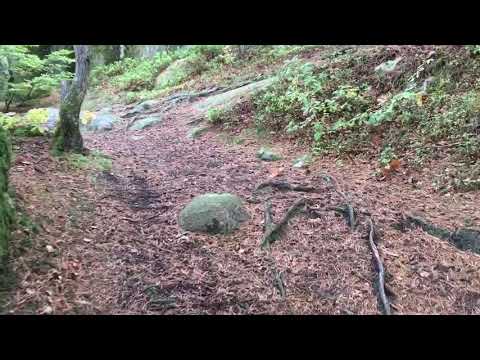 Hultagölen @ RONNEBY 2018-10-04 by IPhone 6s+ and GoPro Splice (EDIT) (Christian Hylse - BLEKINGE)