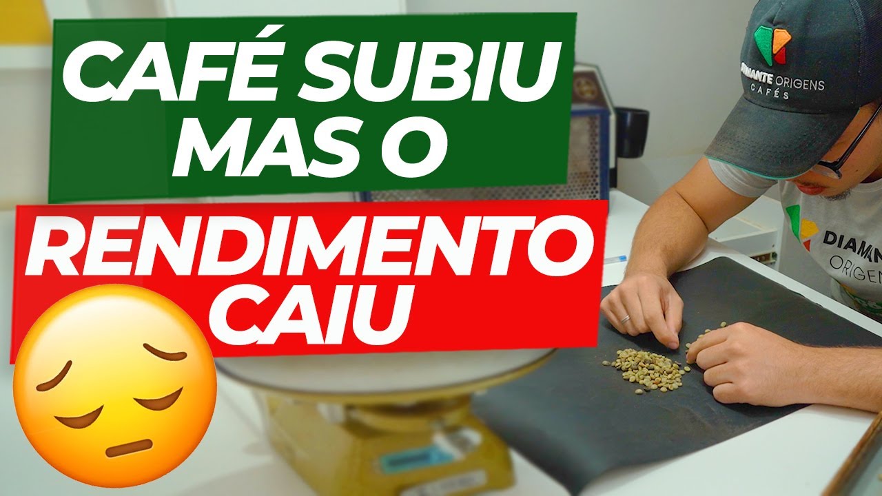 Grãos Miúdos, Peneira Baixa… O Café Está Assim Esse Ano!!! | No Pé do Café
