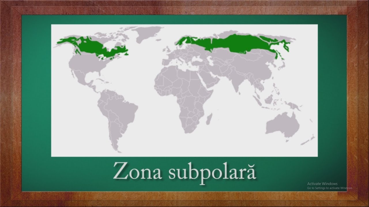 Geografie: Biogeografia zonelor temperata si rece | Winschool