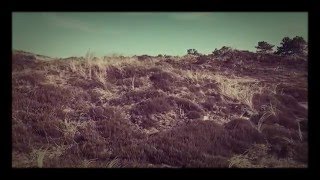 Boards of Canada - Sundown