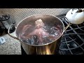 Eating LARGE OCTOPUS MUST WATCH