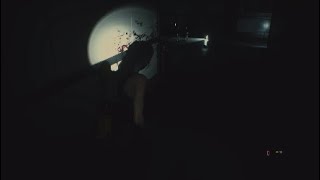 タンクトップ姿のクレアが美しい　BIOHAZARD RE:2*
