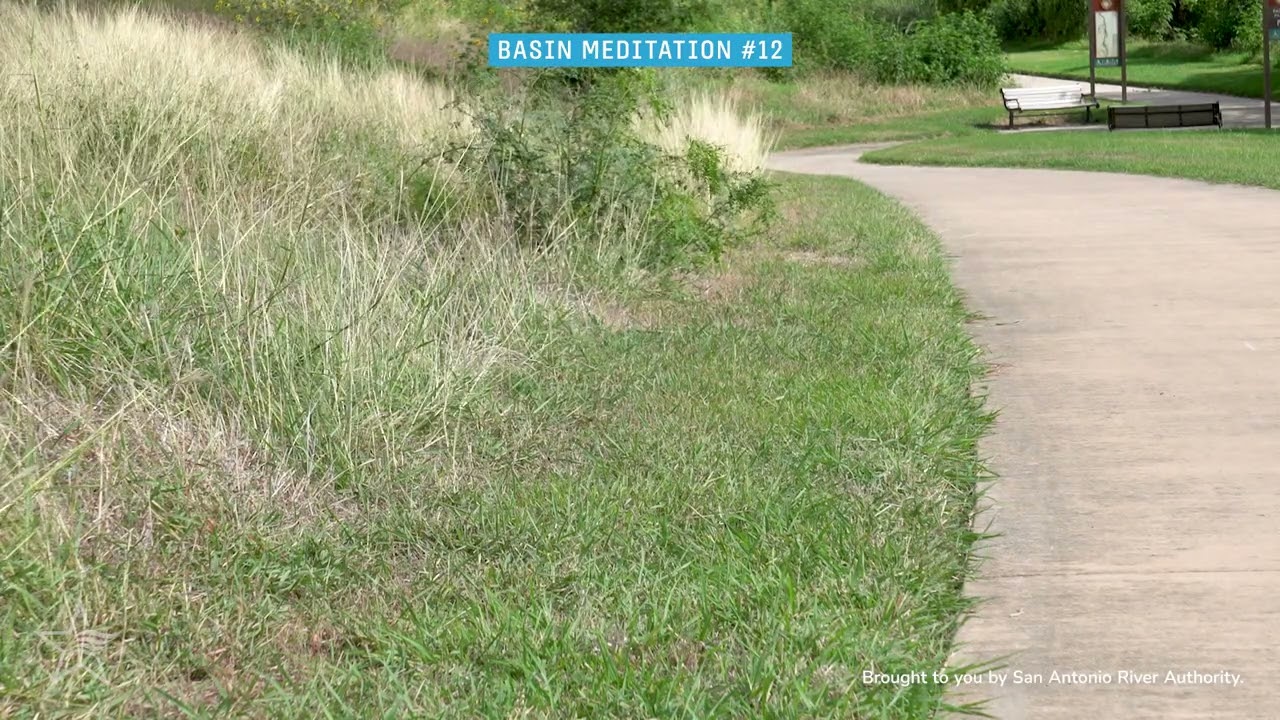Trail View on the South River Walk - Basin Meditation at Mission San Jose Greenline