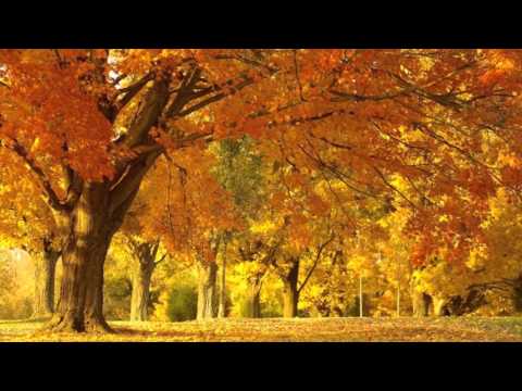 Video thumbnail for Bang Bang (My Baby Shot Me Down)