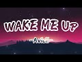 Avicii - Wake Me Up lyrics | Wavy Lyrics