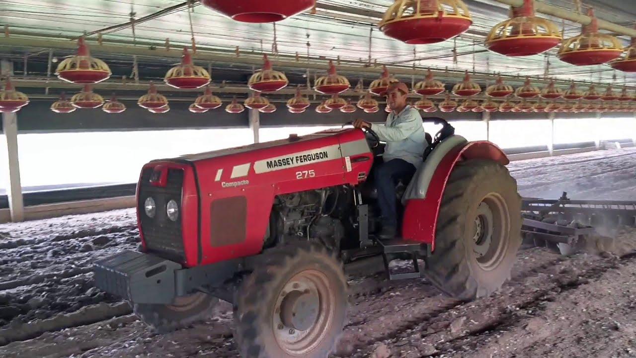 Qual trabalho da a granja