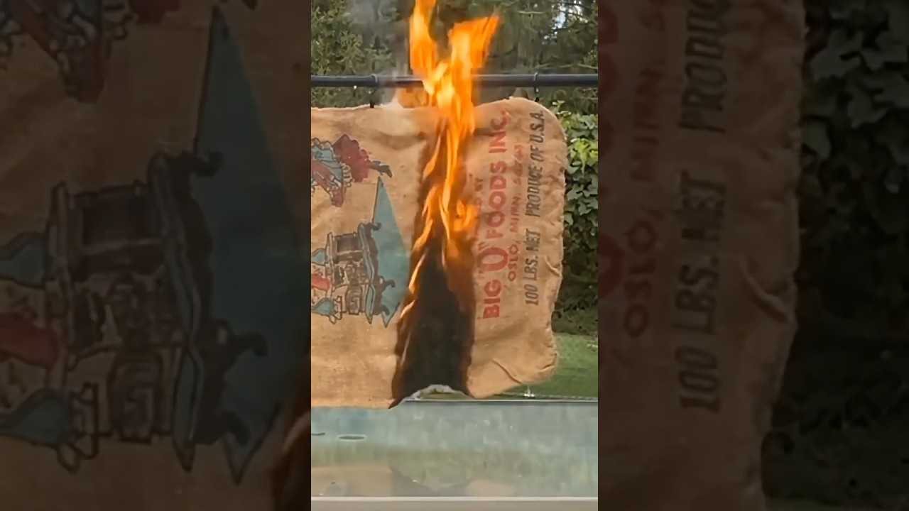 🔥 Fireproofing a #DIY #Cabin or #TinyHouse 🔥 #RusticLiving #OffGridLiving Passive Fire Protection